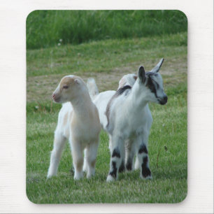 Mousepad Pippi e Cinzas