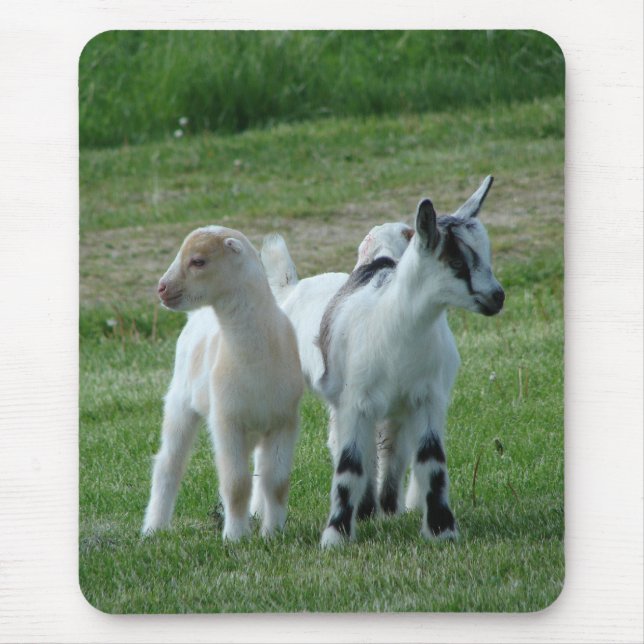 Mousepad Pippi e Cinzas (Frente)