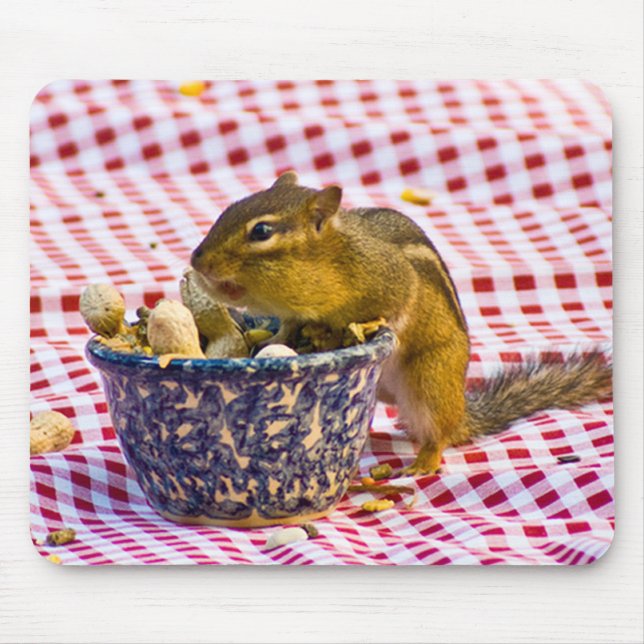 Mousepad Piquenique do Esquilo (Frente)