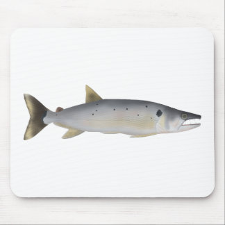 Mousepad Pirá Yobua