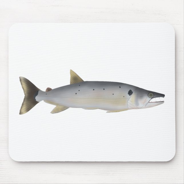Mousepad Pirá Yobua (Frente)