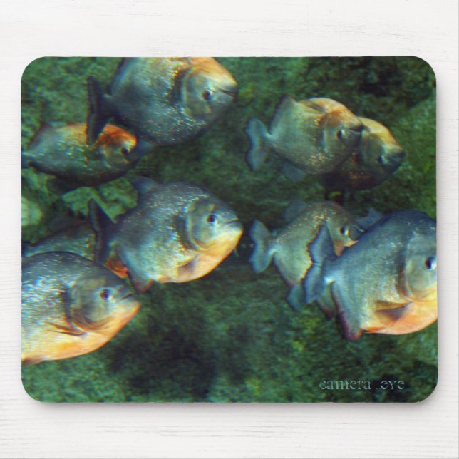 Mousepad Piranha espelhado (Frente)