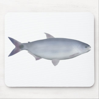 Mousepad Pirapitinga