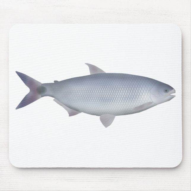Mousepad Pirapitinga (Frente)
