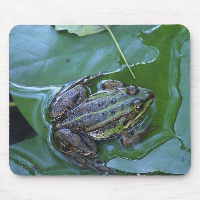 Mousepad Piscina, Amperauen, Alemanha (Frente)