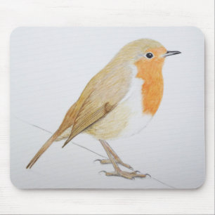 Mousepad Pisco de peito vermelho 2011