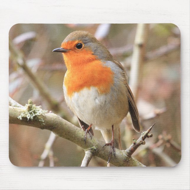 Mousepad Pisco de peito vermelho Chirpy (Frente)