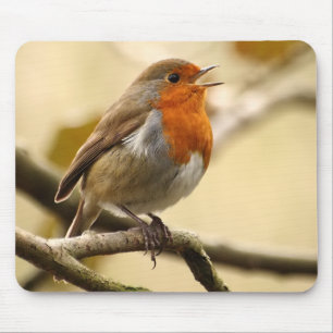 Mousepad Pisco de peito vermelho do canto