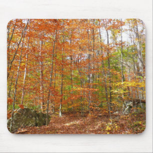 Mousepad Pista de queda à luz do sol no Laurel Hill Park