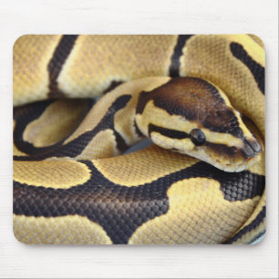 Mousepad Pitão amarelo e preto 3 da bola