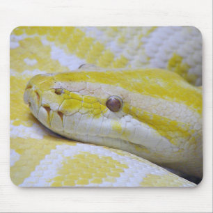 Mousepad Pitão Burmese
