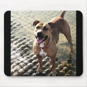 Mousepad Pitbull Terrier