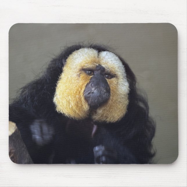 Mousepad Pithecia pithecia (Frente)
