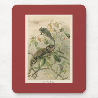 Mousepad PJ Smith - Camaleões