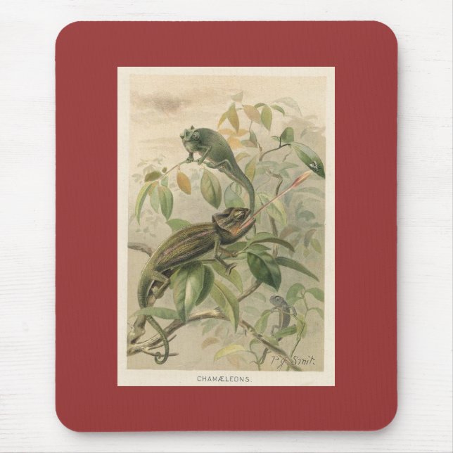 Mousepad PJ Smith - Camaleões (Frente)