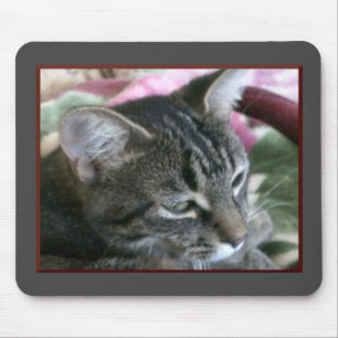 Mousepad Placa de Mouse com Gatinho de faixa de Tigre