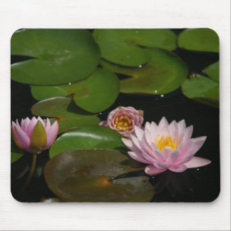 Mousepad Placa de Mouse com Lírios de Água Lótus Rosa