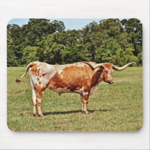 Mousepad Placa de Mouse de Arte de Vaca do Texas Longhorn