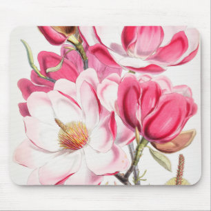 Mousepad Placa de Mouse Magnolia Rosa Brilhante