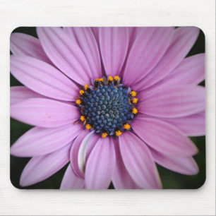 Mousepad Placa de Mouse Purple Daisy