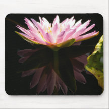 Placa de Mouse Waterlily Lotus Refletida Rosa