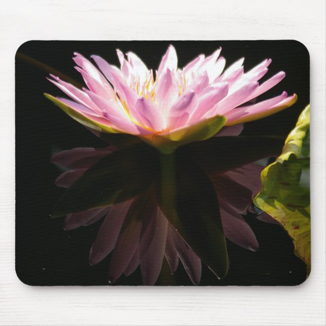 Mousepad Placa de Mouse Waterlily Lotus Refletida Rosa (Frente)
