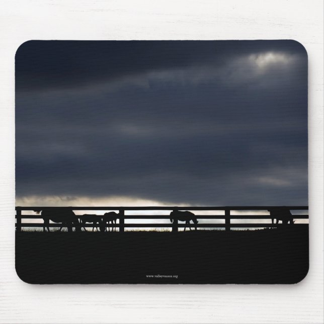 Mousepad Placa de Rato Cavalo (Frente)