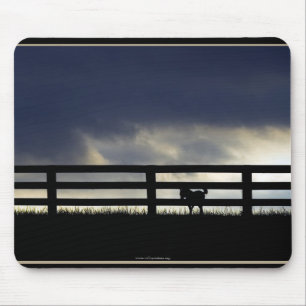 Mousepad Placa de Rato Cavalo
