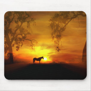 Mousepad Placa de Rato Cavalo e Rato Solar