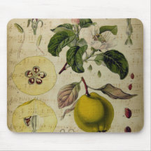 Placa do mouse da placa Vintage