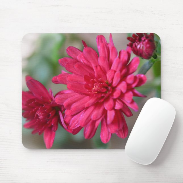 Mousepad Placa do mouse das flores de Mãe rosa magenta (Com mouse)