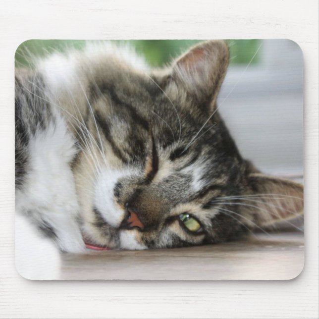Mousepad Placa do mouse do Gatinho Zorro com sono (Frente)