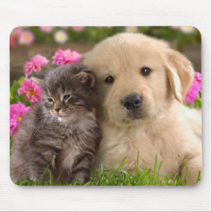 Mousepad Placa do mouse do Ouro Retriever Puppy e Kitten