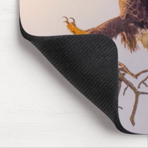 Mousepad Placa do mouse M SWFL Eagle Cam 2021