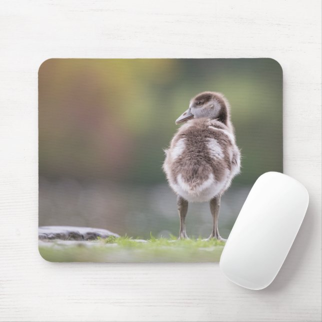 Mousepad Placa do mouse natural de foto do Pintinho de gans (Com mouse)