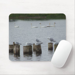 Mousepad Placa do mouse no gesso