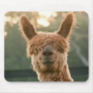 Mousepad Placa do mouse sorridente Alpaca