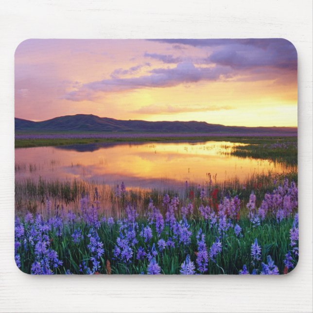 Mousepad Placa do mouse Sunset Prairie Scene (Frente)