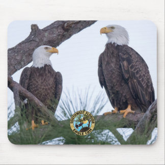 Mousepad Placa do mouse SWFL Eagle Cam
