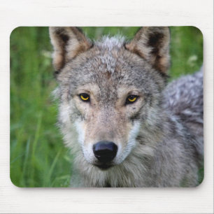 Mousepad Placa do mouse Timer Wolf