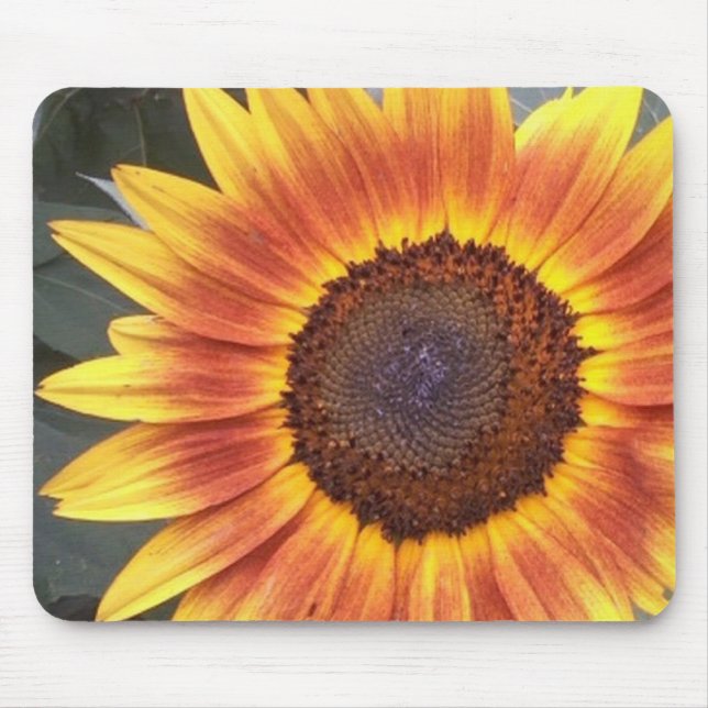 Mousepad Placa do Sol Amarelo N Laranja (Frente)