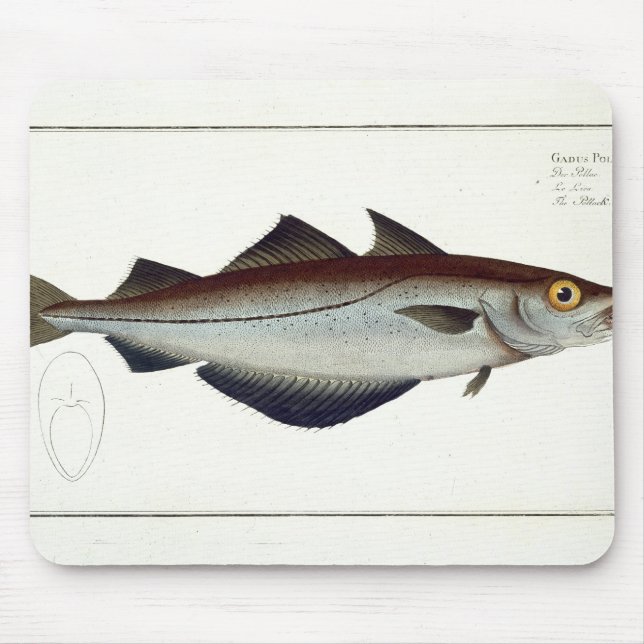Mousepad Placa LXVIII das pescadas polacas (pollachius do (Frente)