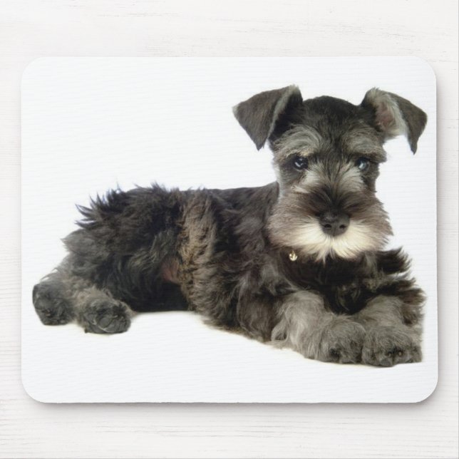 Mousepad Placa Minúscula De Rato De Cachorro Schnauzer De C (Frente)