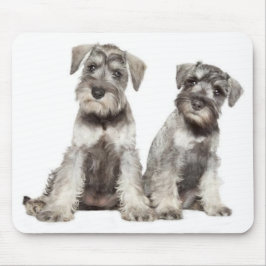 Mousepad Placa Minúscula De Rato De Cachorro Schnauzer De C