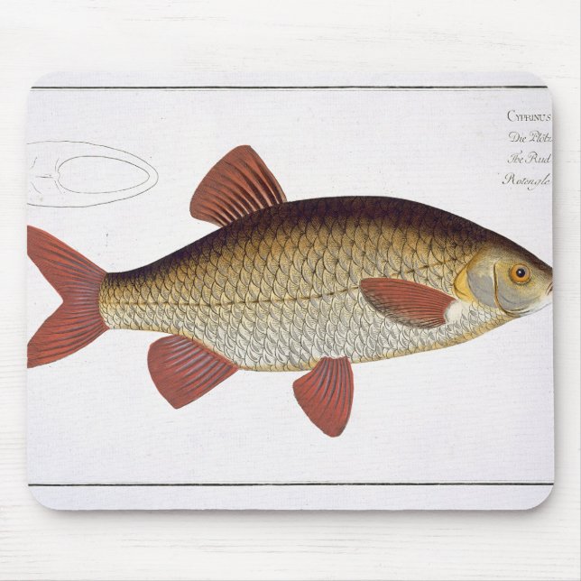 Mousepad Placa vermelha da carpa (Cyprinus (Frente)