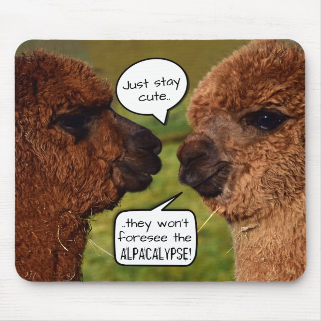 Mousepad Planejamento engraçado de Alpacalypse da alpaca (Frente)