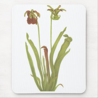 Mousepad Planta carnívora - rubra do Sarracenia