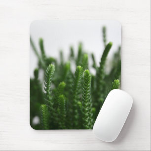 Mousepad Planta de Grama Suculenta Verde - Foto da Natureza
