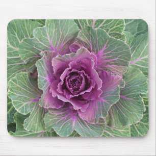 Mousepad Planta de repolho