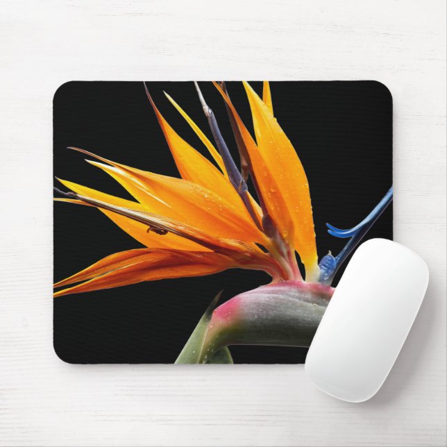 Mousepad Planta Laranja do Paraíso dos Pássaros em Preto (Com mouse)